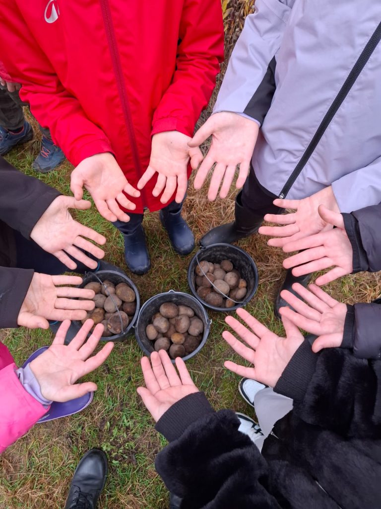 Święto Pieczonego Ziemniaka