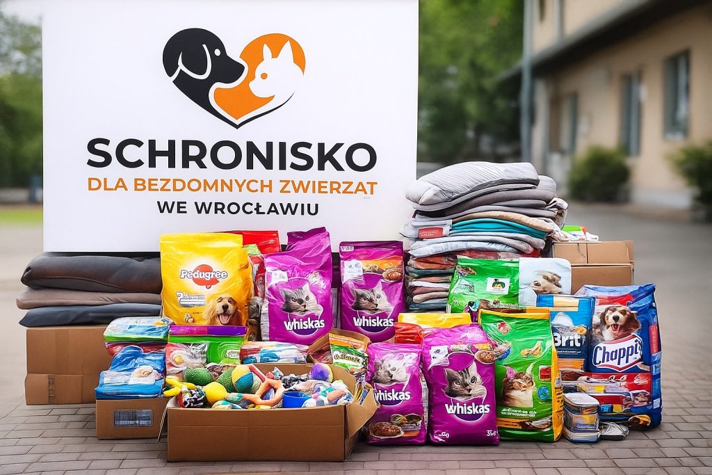 Zbieramy dary dla wrocławskiego schroniska – razem możemy więcej!